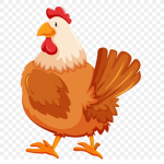Team Chicken.