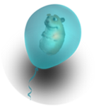 Balloonik