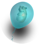 Balloonik
