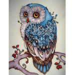 Owlz Clothing Co.
