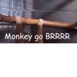The Republic of The Monkey Federation