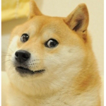 Doge’s discussion of games.