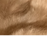 ??.?.?.?.?.?..?.?.?......?..