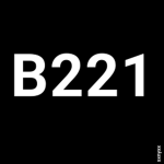 Blank221