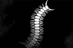 Worm 強い
