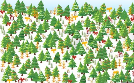 christmas dance!