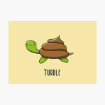 The Turdles