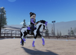 + SilverStream Equestrian Center+