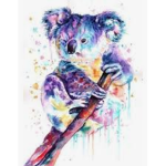 Grace's koalas