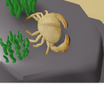 Marine_Biology Center