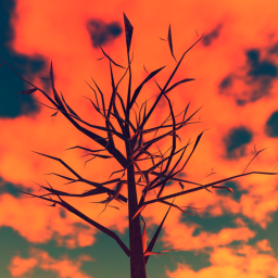 symbolic limits