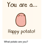 hi need a good day well just stay here