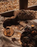 Crazy cozy Aesthetics
