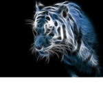 •Neon Tigers•