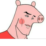 TEAM PEPO PIG