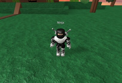 ninja academy wars