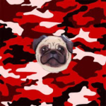 Super pug army