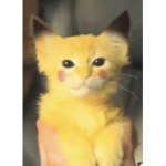 Pikachu pica pica