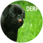 Diamond Pugs Forever