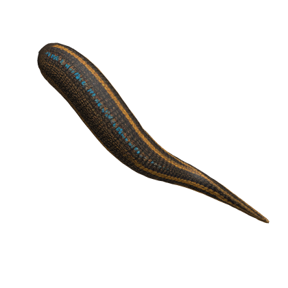 San Borondón Lizard Tail thumbnail
