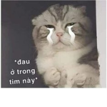 hurt in my heart