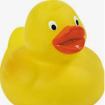My Rubber ducks!