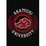 AKATSUKI ORGANIZACION CRIMINAL