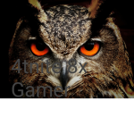 4TNITE 8X GAMER