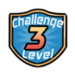 Level 3