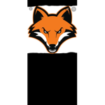 Foxyboy games Official group