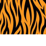 beautiful tiger gems