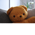 ~Teddys~