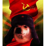 The Soviet Shiba's