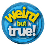 The weird but true group