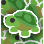 *The turtle squad*
