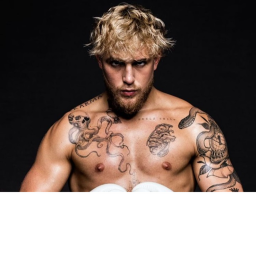 Jake Paul's Sword Battles