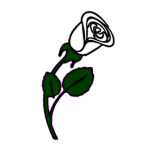 Order of the White Rose [Ro-Ghoul]