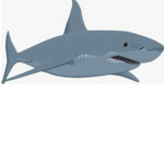 SharkFans