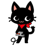 THE LIT CATS