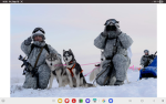 The Husky Central Ground Forces