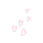 - p a l m t r e e s -