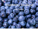 Blueberry Studios Official Group