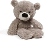 Me a Teddy bear