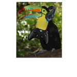 Toucan Gaming YT