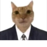 Cat Cult Investment Group