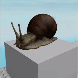snail obby icon