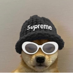 drippy doge has money