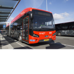 Goliath Bus Lines