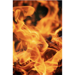 Fire flames group real