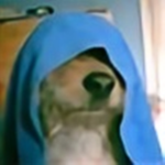 ImaDoggoandstuff